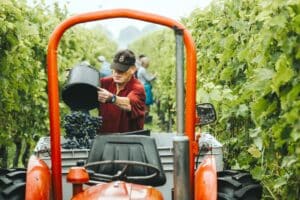 Impact certificering Reestlandhoeve