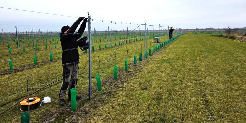 Beregeningsinstallatie late nachtvorst