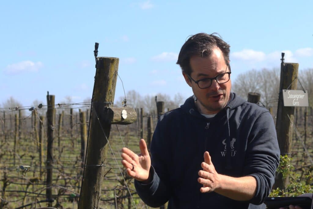 wijn verhaal storytelling